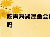 吃青海湖湟鱼会被判刑吗 吃青海湟鱼会犯罪吗 