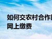 如何交农村合作医疗网上缴费 农村合作医疗网上缴费 