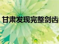 甘肃发现完整剑齿象化石 汉中现剑齿象化石 