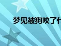 梦见被狗咬了什么预兆 梦见被狗咬了 