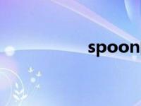 spoon的复数 spoon 