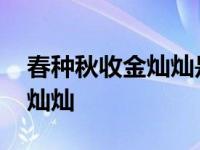 春种秋收金灿灿是什么生肖动物 春种秋收金灿灿 