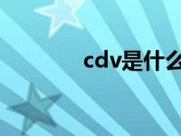 cdv是什么意思 cv什么意思 