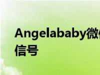 Angelababy微信号是多少 angelababy微信号 