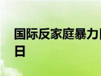 国际反家庭暴力日宣传材料 国际反家庭暴力日 