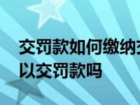 交罚款如何缴纳交通违章罚款 交管12123可以交罚款吗 