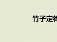 竹子定律作文 竹子定律 