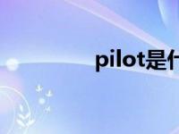 pilot是什么意思中文翻译