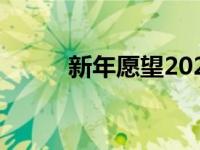 新年愿望2020 2019年新年愿望 