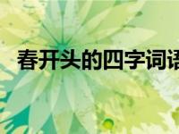 春开头的四字词语祝福 春开头的四字词语 