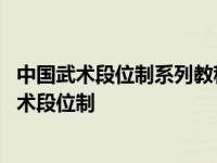 中国武术段位制系列教程突出了传统武术什么的特色 中国武术段位制 