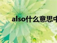 also什么意思中文意思 also什么意思 