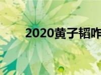 2020黄子韬咋了 黄子韬戛纳遭驱赶 