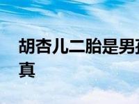 胡杏儿二胎是男孩还是女孩 胡杏儿疑二胎成真 