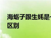 海蛎子跟生蚝是一个东西吗 海蛎子和生蚝的区别 