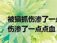 被猫抓伤渗了一点点血需要打疫苗吗 被猫抓伤渗了一点点血 