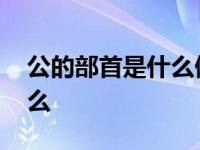 公的部首是什么偏旁结构的字 公的部首是什么 