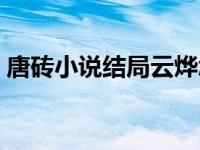 唐砖小说结局云烨怎么回来的 唐砖小说结局 