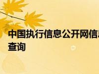 中国执行信息公开网信息查询入口 中国执行信息公开网信息查询 