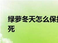 绿萝冬天怎么保护起来 绿萝冬天怎么养不会死 