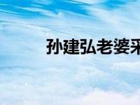 孙建弘老婆采访节目 孙建弘老婆 