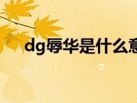 dg辱华是什么意思 dg辱华是怎么回事 