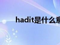 hadit是什么意思 hat是什么意思译 