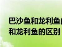 巴沙鱼和龙利鱼的区别小宝宝能吃吗 巴沙鱼和龙利鱼的区别 