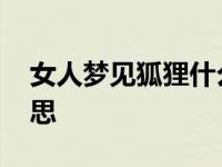 女人梦见狐狸什么征兆 女人梦见狐狸什么意思 