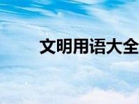 文明用语大全100个 文明用语大全 