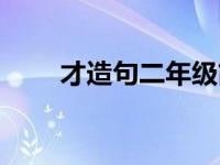 才造句二年级简单点 才造句二年级 