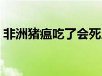 非洲猪瘟吃了会死人吗 非洲猪瘟吃了会怎样 