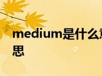 medium是什么意思英语 medium是什么意思 