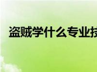 盗贼学什么专业技能好 盗贼学什么专业好 