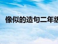 像似的造句二年级仿写句子 飘造句二年级 