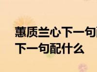 蕙质兰心下一句配什么啻意产V啻 蕙质兰心下一句配什么 