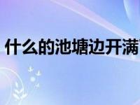 什么的池塘边开满了什么的小花 什么的池塘 