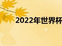 2022年世界杯金球奖 世界杯金球奖 