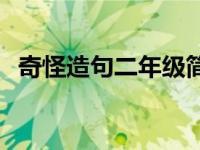 奇怪造句二年级简单一点 奇怪造句二年级 