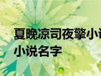 夏晚凉司夜擎小说名字是什么 夏晚凉司夜擎小说名字 