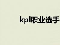 kpl职业选手一年能挣多少钱 kpl 