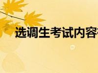 选调生考试内容有哪些 选调生考试内容 