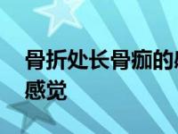 骨折处长骨痂的感觉是什么 骨折处长骨痂的感觉 