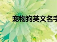 宠物狗英文名字男孩 宠物狗英文名字 