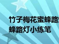 竹子梅花蜜蜂路灯小练笔200字 竹子梅花蜜蜂路灯小练笔 