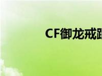 CF御龙戒跟皇龙戒 cf御龙戒 