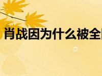 肖战因为什么被全网黑 肖战为什么被全网封 