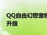 QQ自由幻想宠物升级经验 qq自由幻想宠物升级 