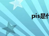 pis是什么意思 pis吧 