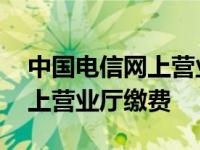 中国电信网上营业厅缴费不成功 中国电信网上营业厅缴费 